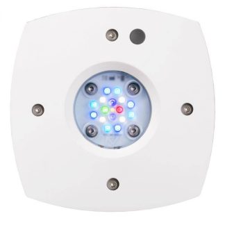 AI Prime 16HD - WHITE