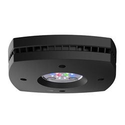 AI Prime 16 FRESHWATER - BLACK