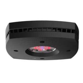 AI Prime 16 Fuge - BLACK