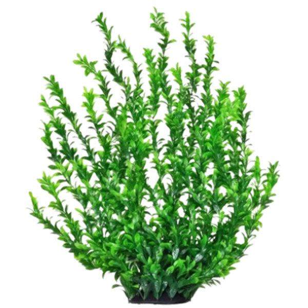 Aquatop Broad Plant Dark Green 31"