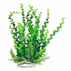 Aquatop Plant Bacopa 9"