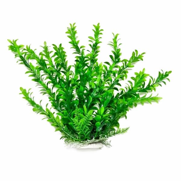 Aquatop Hygrophila Plant 12"