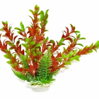 Aquatop Plant Hygrophila Green/Red 6"