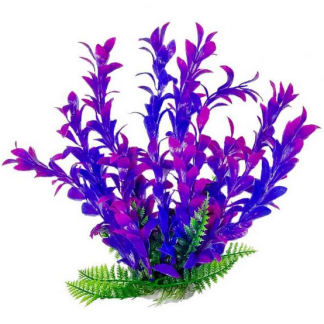 Aquatop Plant Hygrophila Pink/Purple 6"