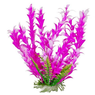Aquatop Plant Bacopa Pink/White 6"