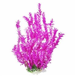 Aquatop Plant Bacopa Pink/White 16"