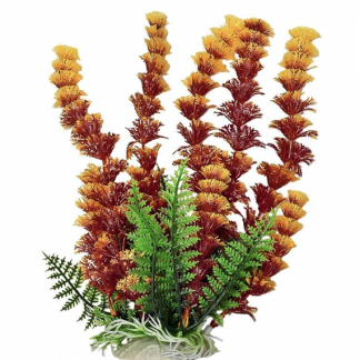 Aquatop Plant Cabomba w/ Orangish Tip 6"
