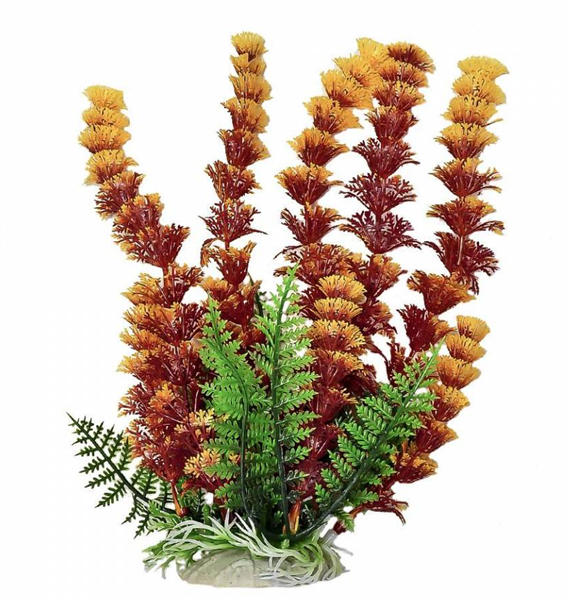 Aquatop Plant Cabomba w/ Orangish Tip 6"