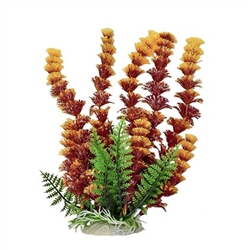 Aquatop Cabomba W/Orangish Tip Plant 12"