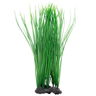 Aquatop Onion Grass 16" - Green