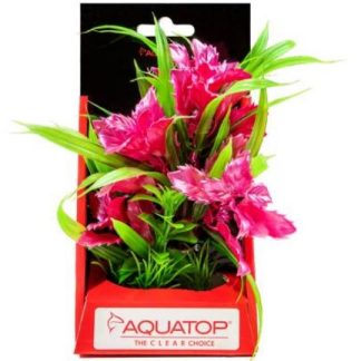 Aquatop Vibrant Passion Rose Plant 6"