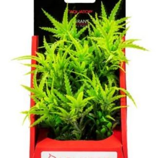 Aquatop Vibrant Garden Green Plant 6"