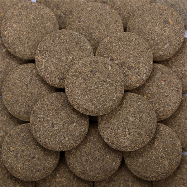 Bay Brand Nibble Bits - Saltwater Herbivore Large Tablets (20mm) 2.1oz - Image 3