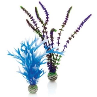 biOrb Plant Blue/Purple Medium Set of 2