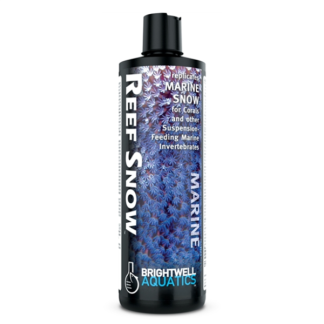 Brightwell Reef Snow