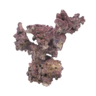CaribSea LifeRock Nano Tree