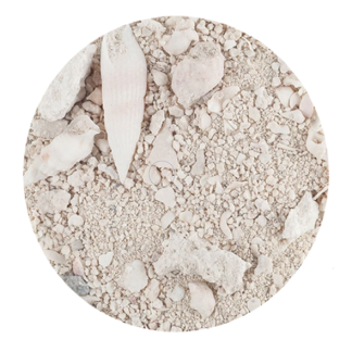 CaribSea Ocean Direct Live Sand - Original Grade 5 lbs