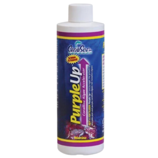 CaribSea Purple Up