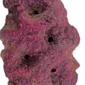 CaribSea LifeRock Frag Garden 5 Hole