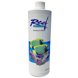Ecosystem Reef Solution