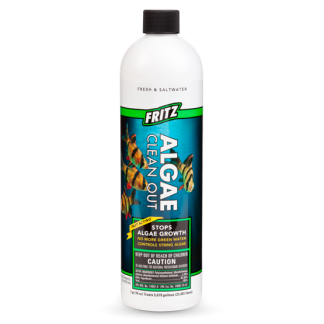 Fritz Algae Clean Out