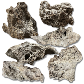 Feller Stone - Bulk Lace Rock per pound