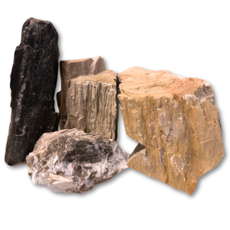 Feller Stone - Petrified Wood Rock 25 lbs