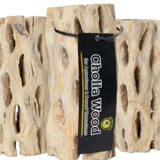 Galapagos Cholla Wood Branches Appx. 6in 3-PACK