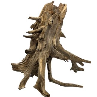Galapagos Driftwood Hollow Tree Root 12"-16"