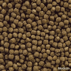 Hikari Staple KOI Floating Pellet Medium - Image 2