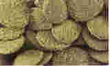 Hikari Sinking Wafers - Image 2