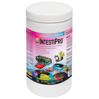 Hikari IntestiPro  - Treats 2000 Gallons