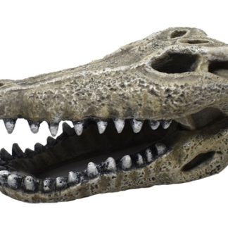 Hikari Resin Ornament - Gator Skull