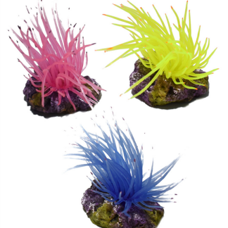 Hikari Resin Ornament - Anemone on Rock Resin Ornament 3 Color Pack