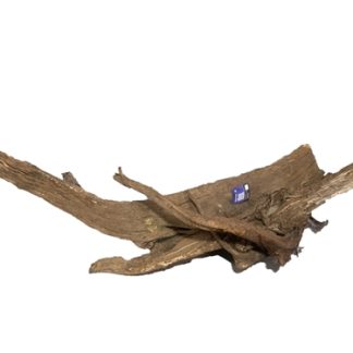 JBJ Malaysian Driftwood - Super Large Show 50" - 60"
