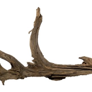 JBJ Malaysian Driftwood - XX Large 30" - 40"