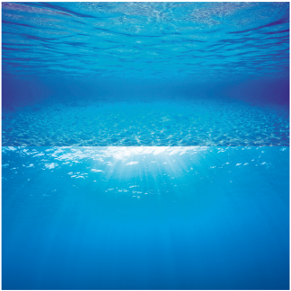 Juwel Poster 2 XL - Underwater View Background