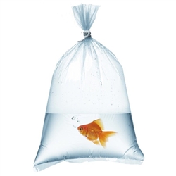 Fish Bags 10x20 - 2 mil - 1000/Box