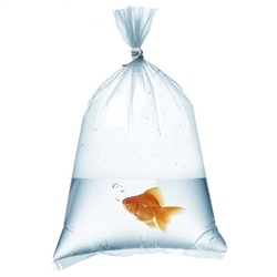 Fish Bags 6x12 - 3 mil - 1000/Box