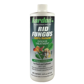 Kordon Rid Fungus 16oz