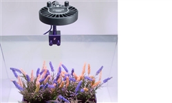 Kessil H80 Tuna Flora Led Fixture - Image 4