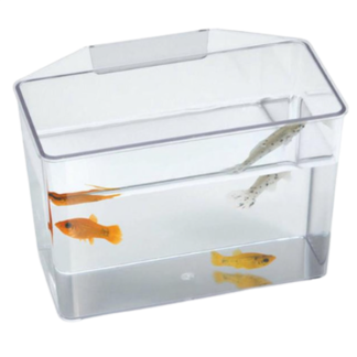 Lee's "Break Resistant" Specimen Container Large (Bulk)