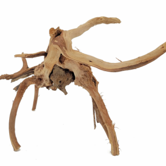 Lifegard Spider Wood Small 6"-9"