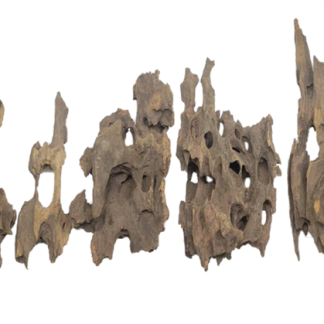 Lifegard Dragon Wood 2 lbs Box Pack Small (Up to 6") (Multiple Pieces)