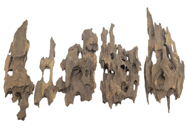 Lifegard Dragon Wood 2 lbs Box Pack Small (Up to 6") (Multiple Pieces)