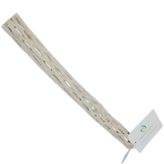 Liquid Gardens 12" Cholla Wood