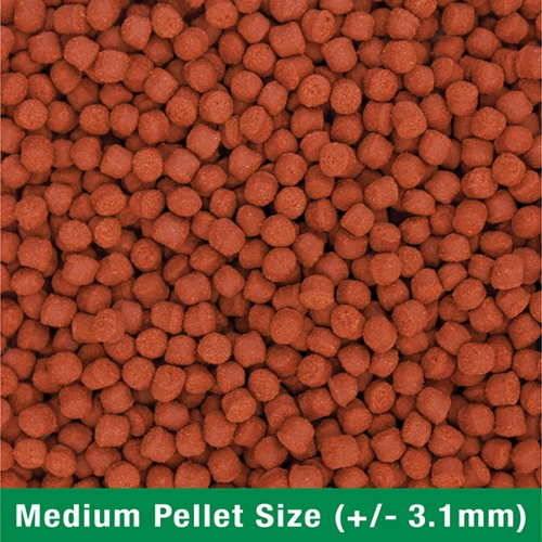 Ocean Nutrition Formula 1 Marine Pellets Medium - Image 2