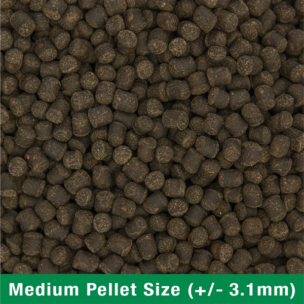 Ocean Nutrition Formula 2 Marine Pellets Medium - Image 2