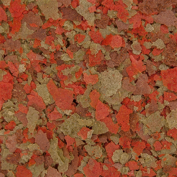 Ocean Nutrition Cichlid Omni Flake Food - Image 2