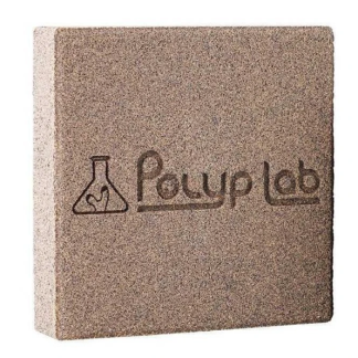 PolypLab Genesis Rock
